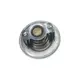 Válvula Termostática 82 Graus Massey Ferguson MF265 MF275 3637725M1
