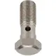 Parafuso Banjo Oco M10X1.5X25 (2 Furos) MB Motor OM366 Todos 3669900063