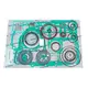 Jogo de Reparo Completo Câmbio ZF 9S1110TD Padrao 1324298010