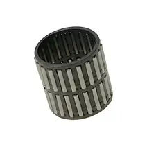 ROLAMENTO DUPLO DA RE G210/G211/G221/G240 0129818910