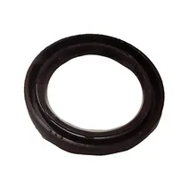 Retentor Flange Traseira Câmbios Eaton Original BH3T4813AA
