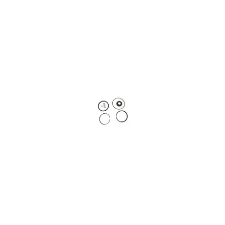 Jogo de Reparo Transferencia Câmbios ZF 16S Original 1315298077