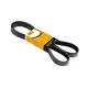 Correia do Alternador 8PK0965 K080380 Gates 2P0145933B