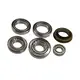 Kit de Rolamentos Completo Eixo Meritor 145 805323