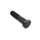 Parafuso R 2SH601139C