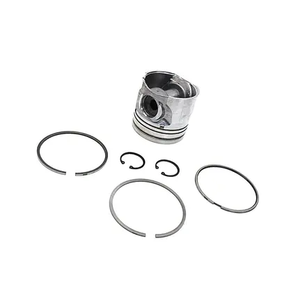 Kit Reparo para Um Cilindro - 0,25MM 2P0107065A