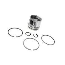 Kit Reparo para Um Cilindro - 0,25MM 2P0107065A