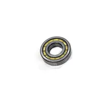 Rolamento de Rolos Cilindricos (55X110X27MM) Câmbio ZF S5680 0219819210