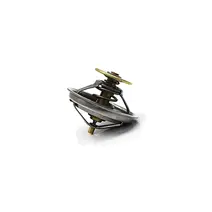 Válvula Termostática 79 Graus Motor MWM 4.12TCE Mte 2S2121113