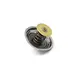 Válvula Termostática 79 Graus Motor MWM 4.12TCE MTE 2S2121113