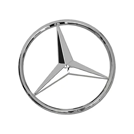 Estrela Grade Frontal 220MM com Parafuso 9738100118