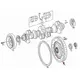 Volante do Motor C/ Cremalheira MB OM906 OM926 OM924 Euro 9060306605