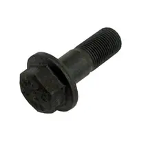 Parafuso da Coroa Sextavado com Flange M12X1.0X32 12.9 CH17 3859902401