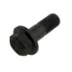 Parafuso da Coroa Sextavado com Flange M12X1.0X32 12.9 CH17 3859902401