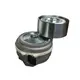 Esticador Correia Polia Lisa Motor MAN D08 (polia Ferro) 07W903133