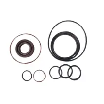 Jogo Reparo Bomba de Direção Aluminio Fn4 BOSCH 0024602780