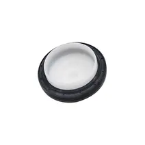 Retentor Polia Distribuição Dianteira Motor CUMMINS ISF 2.8 23B109293