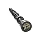 Comando Válvulas Motor MAN D08 6 Cilindros Susin 07W109101A