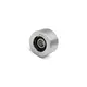 Polia Tensora Auxiliar Lisa Nylon Motor Cummins ISC 8.3 Rolt 2Z0903119A