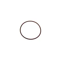 Anel O-ring 2U0311950E