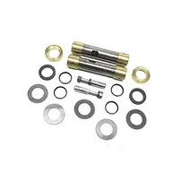 Embuchamento STD (33.00MM) com Rolamento para Volkswagen Delivery e Micro 2P0498445
