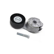 Esticador Correia Polia Lisa (ferro) Motor CUMMINS ISB Rolt 2R0145299