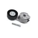Esticador Correia Polia Lisa (Ferro) Motor Cummins ISB Rolt 2R0145299