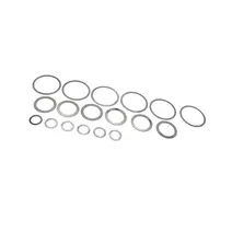 Calço Ajuste Rolamento Diferencial Dana 70HD Flaus T06525267