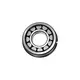 Rolamento de Rolos 45X100X25MM Câmbios Eaton Eurotecnica BG3X7118AA