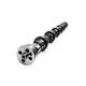 Comando de Válvulas Motor MAN D08 6 Cilindros Importado 07W109101A