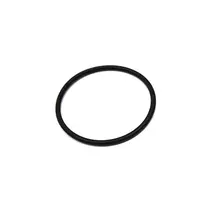 Anel O-ring Vedação Turbina Motor CUMMINS Gw 2R0906149C