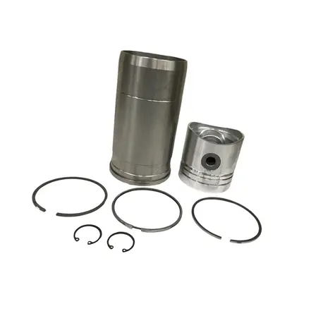 Super Master Kit Motor MWM D 229 922950191428