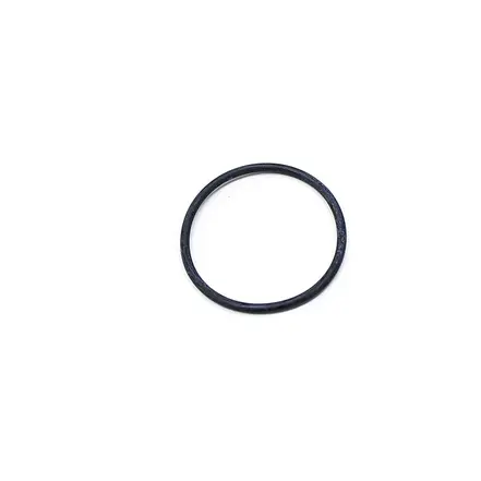 Anel O-RING 604931470601E