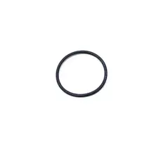 Anel O-ring 604931470601E