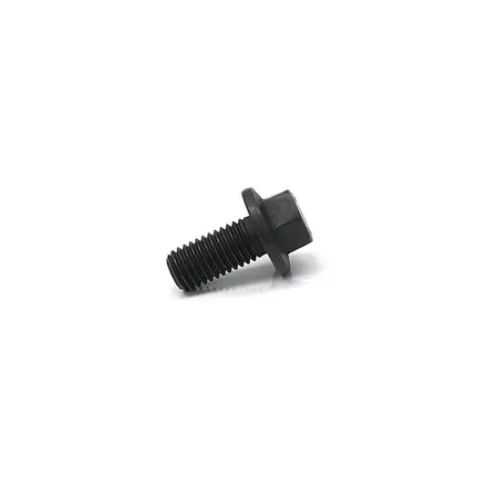 Parafuso Tampa Tomada Força ZF 2W0301340