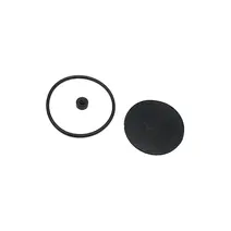 Jogo de Reparo Válvula de Descarga Rápida 2RL698425