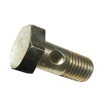 Parafuso Oco 8MM (M8X1.0X17) 2 Furos Mercedes-Benz OM355 OM352 Original 3269900163