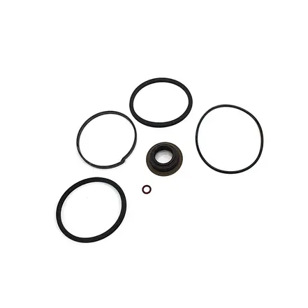 Jogo Reparo Caneca Transferencia GP Câmbios ZF 16S 8S 2T0311675R