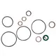 Jogo Reparo Completo Bomba Direção Hidráulica Fn1/2 3073298804
