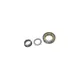 Rolamento de Rolos Cilindricos (55X110X27MM) Câmbio ZF S5680 0219819210