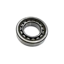 Rolamento Tomada de Forca Traseira Motor MWM X12 Ztl 2U0145888A