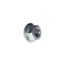 Porca Sext FLANG.24X2 CH36 10.9 0019908850