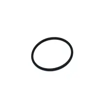O Ring 44X3 0634313132741