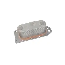 Fechadura Manual da Porta - LD Ford Novo Cargo Ori CC46E219A64BDYYG