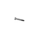 Parafuso 2R2803877CG