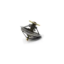 Válvula Termostática 79 Graus Motor MWM 4.12TCE 961207570024
