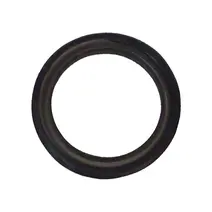 Defletor Flange Traseira FS5205 6206 6306 5306 6979
