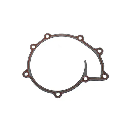 Junta Bomba de Água Motor MAN D08 Spaal 07W121327
