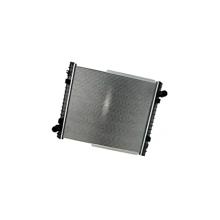 Radiador de Água 500361629