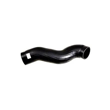 Mangueira Intercooler 2W0117413A